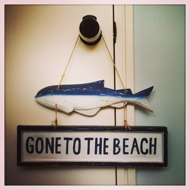 Beaching (Photo courtesy of Owen Leong)