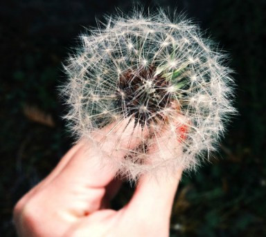 Photo by Coley Christine Catalano - http://coleyslocket.com/ (Sourced from unsplash.com)