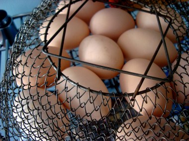 wire basket eggs (Photo from Mazaletel - https://www.flickr.com/photos/meg-z)