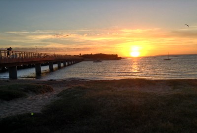 Photo by Mel Thomson 