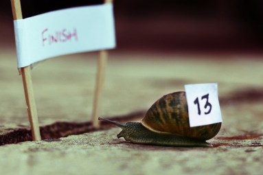 ...and in last place (Photo by Tim Norris | www.flickr.com/photos/tim_norris)