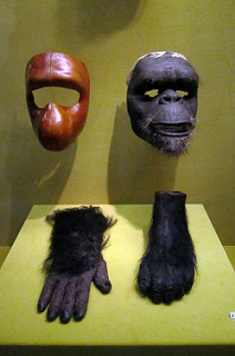 Ape masks, hand and foot from planet of the apes