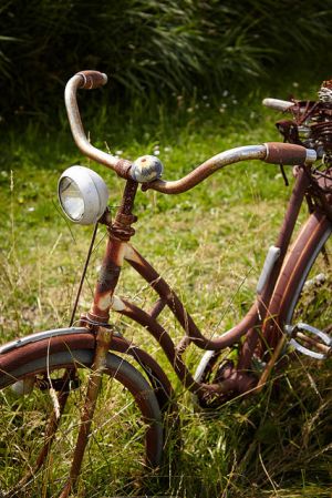 Rusty horse (Photo by Marcus Schwan) | flickr.com