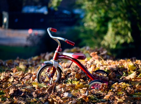 Photo by Rodolfo Mari | unsplash.com