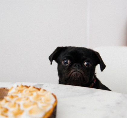 Photo by Charles Deluvio | unsplash.com