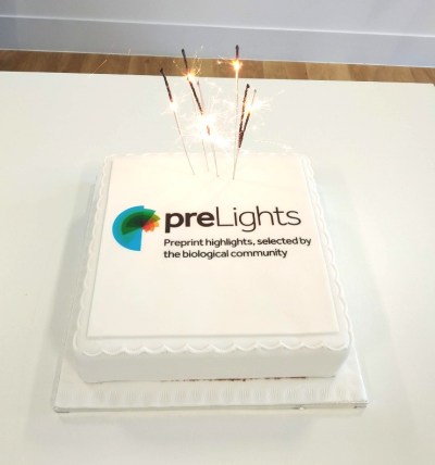 preLights 1st birthday cake! Photo from Mate Palfy.