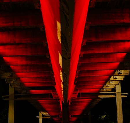 White Night Melbourne 2018 | Photo by Wade Kelly Shared via Creative Commons (CC BY-NC-SA 2.0).