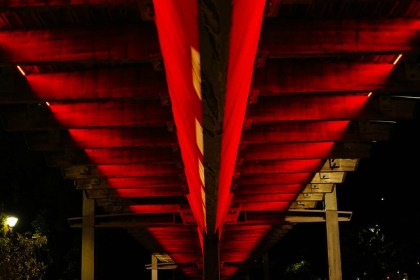 White Night Melbourne 2018 | Photo by Wade Kelly Shared via Creative Commons (CC BY-NC-SA 2.0).