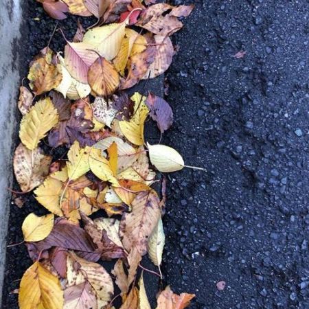 "Walking to work" | Photo by Donna Weeks