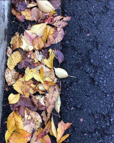 "Walking to work" | Photo by Donna Weeks