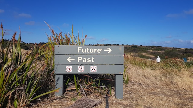 A direction sign in a park that points to the future one way and the past the other way. 